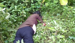 Rúng động nghịch tử đặt dao lên bàn thờ bố thề giết mẹ